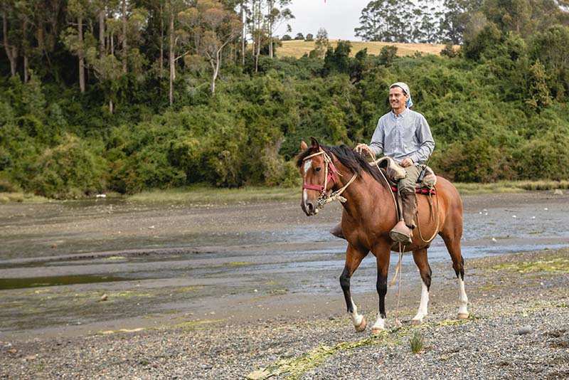 Horseback Riding Right