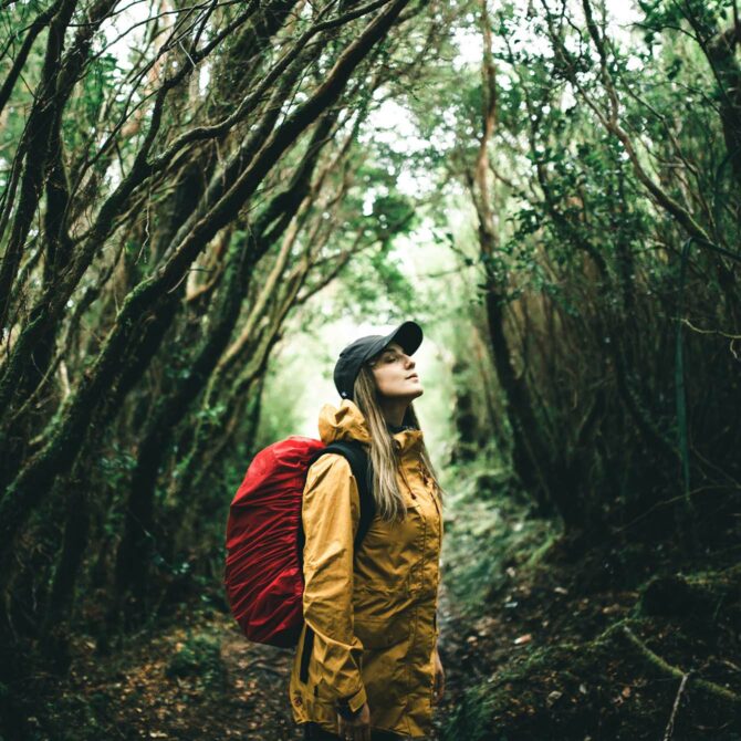 Pristine wilderness Left