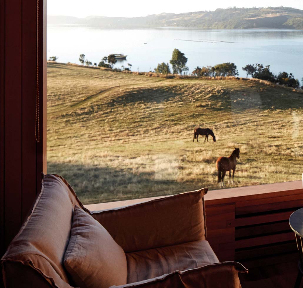 A room with a view Left