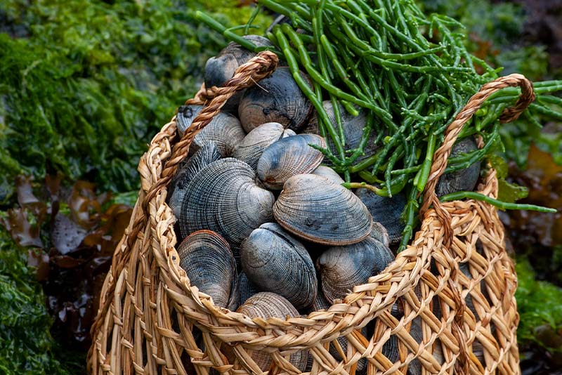 1 Shellfishing at Low Tide