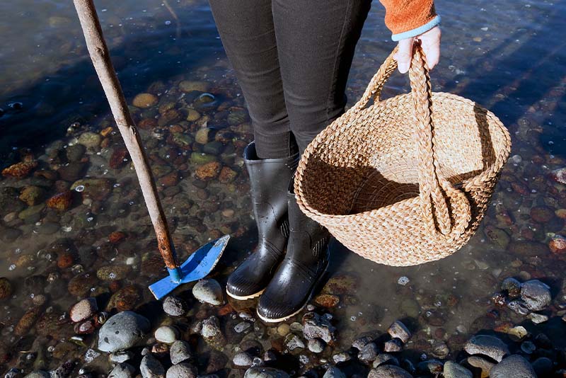 2 Shellfishing at Low Tide