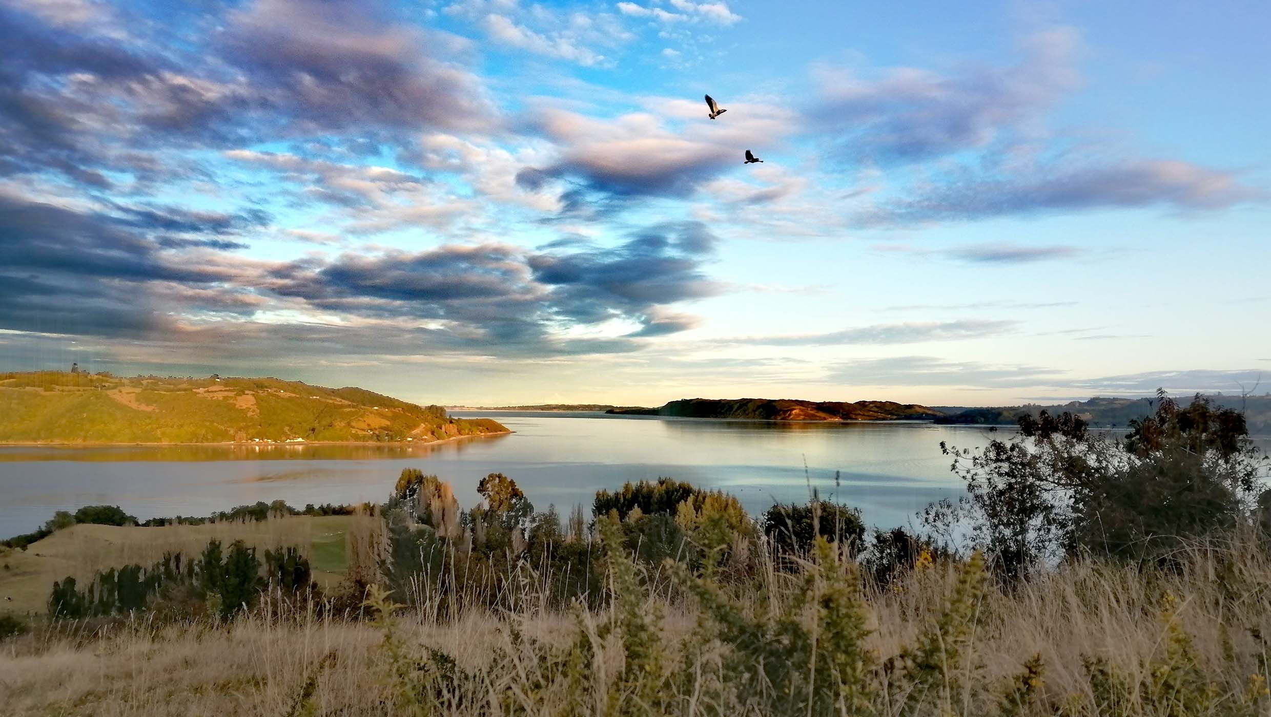 Views, wildlife and verdent greenery in Epukuden Park on Chiloé Island in Chile